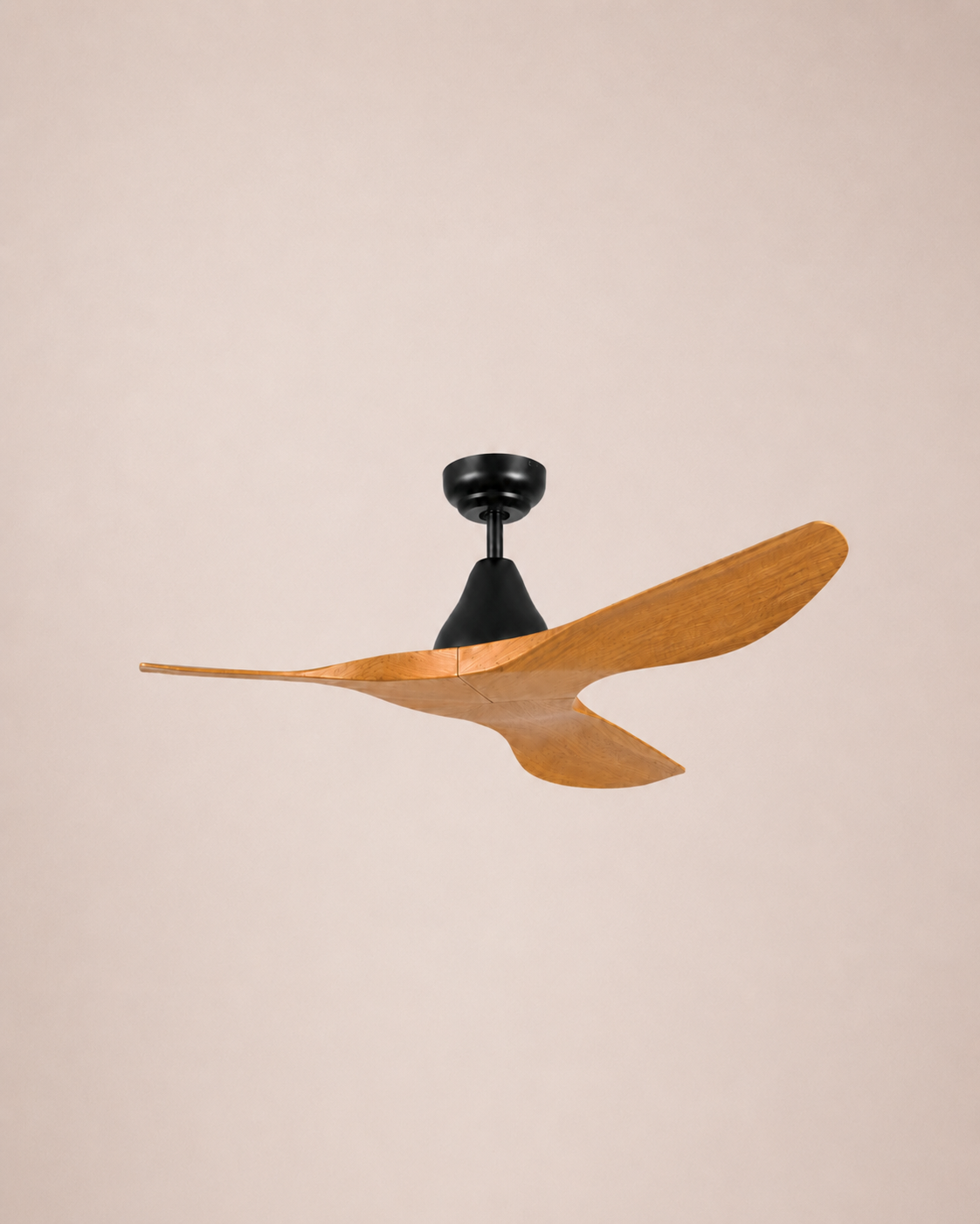 Ceiling Fans